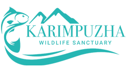 Karimpuzha